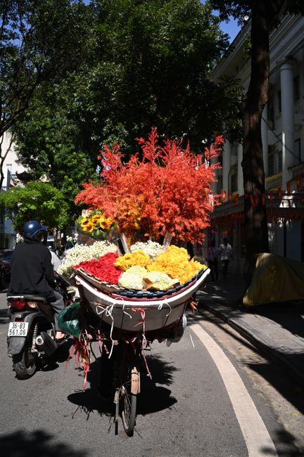 A vibrant floral arrangement featuring a large, fiery red and orange ornamental tree with lush, dense foliage at the center. The tree is mounted on a bicycle used as a mobile flower stand, situated on