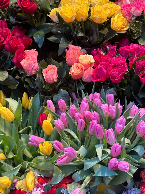 A vibrant display of fresh flowers featuring pink tulips with smooth, elongated petals and green stems in the foreground, complemented by clusters of yellow tulips with pointed petals and green foliag