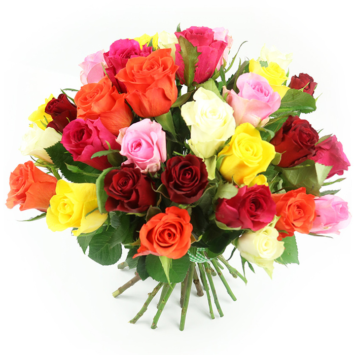 A rich, overflowing cluster of approximately three to four dozen roses fills the frame against a spotless white background, giving the impression of a bouquet freshly lifted from a Brompton florist's bench. The arrangement is shaped into a generous dome, with blooms pressed closely together so that colour and texture take centre stage. Deep red and burgundy roses nestle alongside bright fuchsia and softer blush-pink varieties, while cheerful yellow blooms and warm amber-orange roses weave through the design, catching the light and adding energy. Cream and ivory roses soften the palette, creating restful pauses amid the stronger hues. The petals are dense and layered, some roses fully open with wide, cupped centres, others poised in mid-bloom, their outer petals just beginning to loosen. Dark, glossy green leaves emerge at intervals, giving natural definition and indicating the stems' health and freshness. Beneath the floral canopy, a neat bundle of straight green stems is bound tightly together with a green and white gingham-style ribbon, its small bow resting against the stems like a finishing flourish before delivery somewhere off Cromwell Road or near Brompton Square. The even, bright lighting flattens shadows and lets every tone show clearly, from the velvety depth of the reds to the luminous glow of the yellows and creams. The overall mood is one of joyful abundance and celebration, the kind of hand-tied rose bouquet chosen for milestone birthdays, romantic surprises, or heartfelt congratulations within the Brompton neighbourhood and surrounding central London streets.