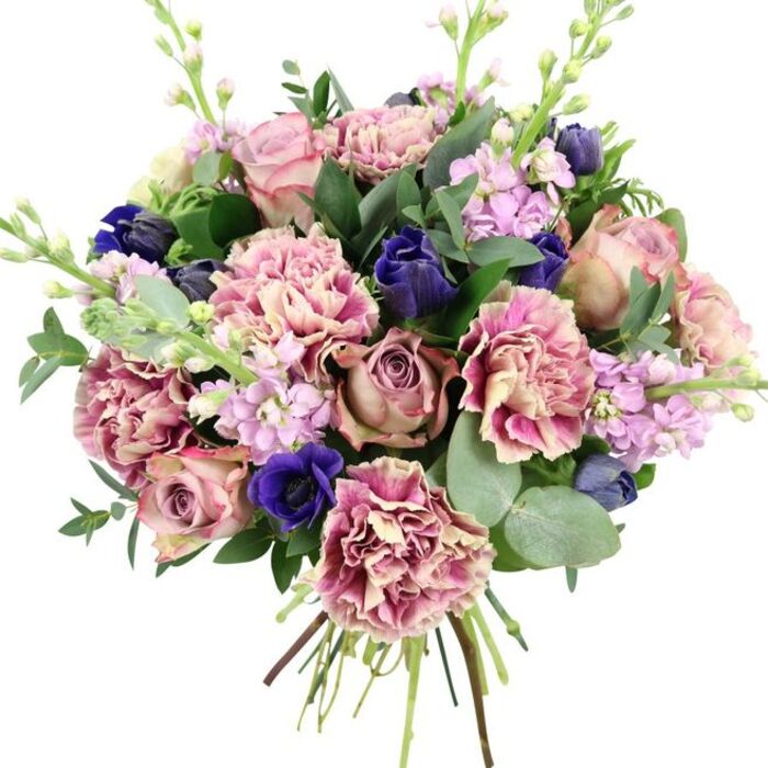 Photographed against a clean white backdrop, this lush, hand-tied bouquet appears almost to float, every flower and leaf clearly defined, like a still life inspired by the quiet elegance of Brompton's garden squares. In the centre, large garden roses open fully, revealing petal upon petal in shades of blush pink, dusty mauve, and antique rose, their romantic spirals forming the emotional core of the design. Surrounding them, generously clustered carnations create a cloud of texture, with creamy, almost beige centres that gradually shift into soft blush and then into richer fuchsia or plum along the ruffled edges, lending depth and volume. Interspersed are deep indigo-blue blooms, their form reminiscent of tulips or tightly closed anemones, adding a vivid, jewel-like intensity that contrasts with the softness of the roses. Near the lower front of the bouquet, a prominent royal blue anemone with a velvety, nearly black centre draws the eye, grounding the whole palette. Slender stems of lilac and pale lavender stock rise gracefully through the arrangement, each bearing clusters of small blossoms that give a light, airy feeling, as if a breeze from nearby Brompton Cemetery's old trees had passed through. A rich collar of foliage frames the flowers: glossy dark leaves and rounded, silvery-green eucalyptus discs that fan outward, suggesting freshness and a subtle, aromatic note. The stems are visibly gathered and tied at the base, showing this is a freshly prepared, hand-crafted bouquet, ideal for same-day delivery around Brompton for celebrations, heartfelt milestones, or simply to bring a refined burst of colour into someone's home.